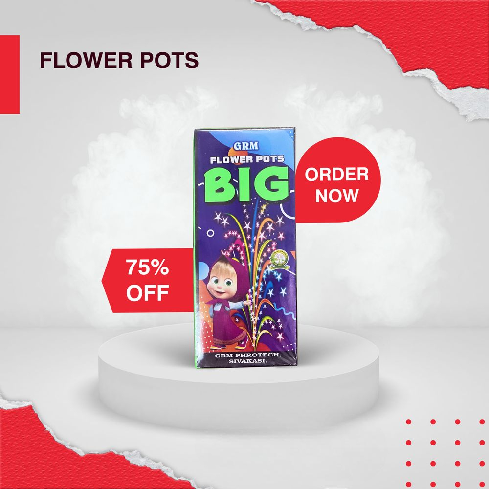 FLOWER POT BIG 10 PCS..